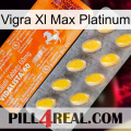 Vigra Xl Max Platinum new05